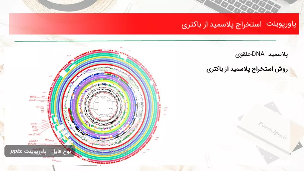 دانلود پاورپوینت استخراج پلاسمید از باکتری - کد117527