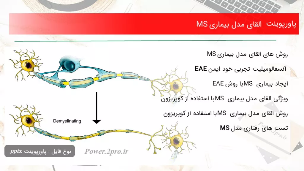 دانلود پاورپوینت القای مدل بیماری MS - کد117555