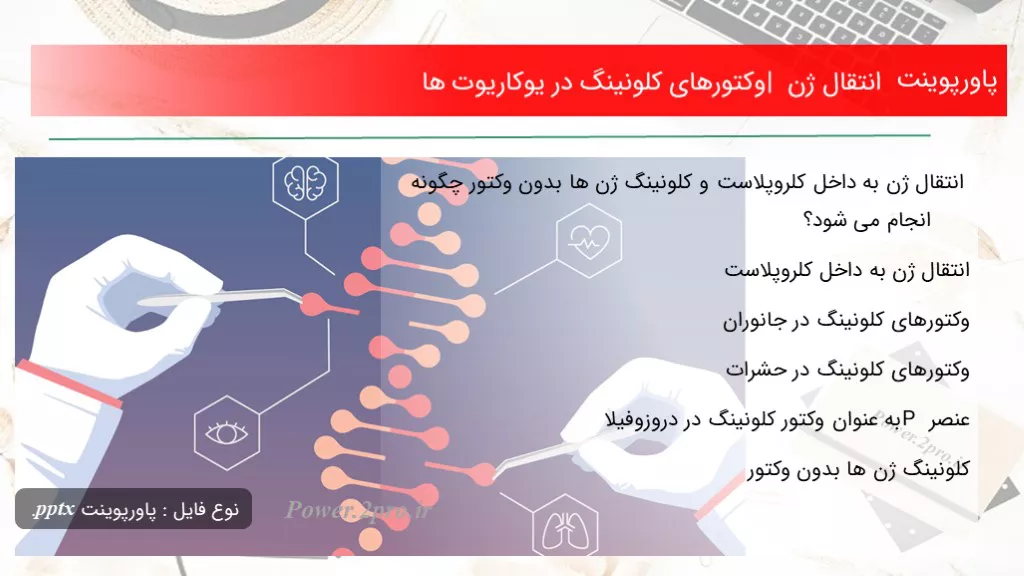 دانلود پاورپوینت انتقال ژن | وکتورهای کلونینگ در یوکاریوت ها - کد117559