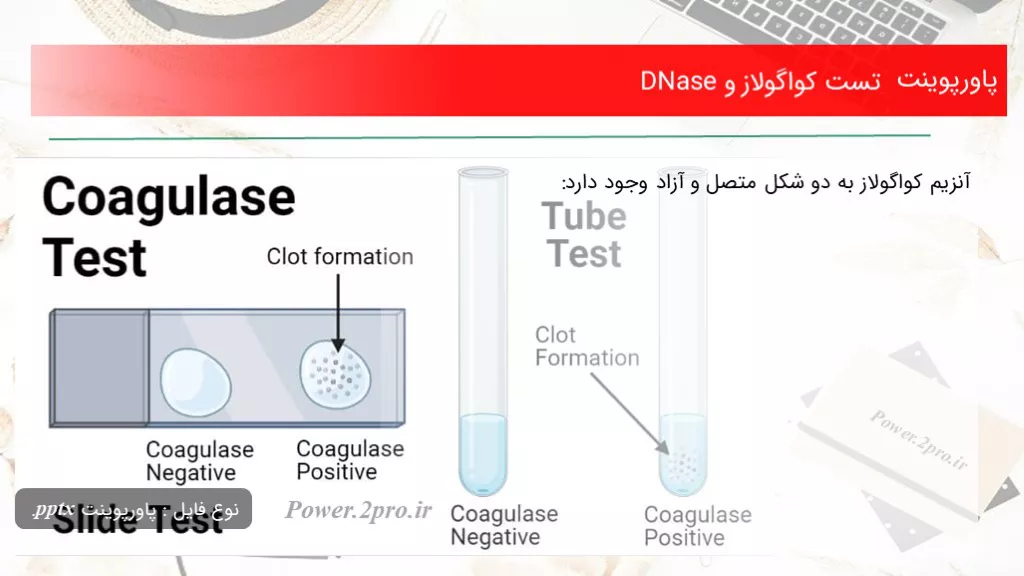 دانلود پاورپوینت تست کواگولاز و DNase - کد117617