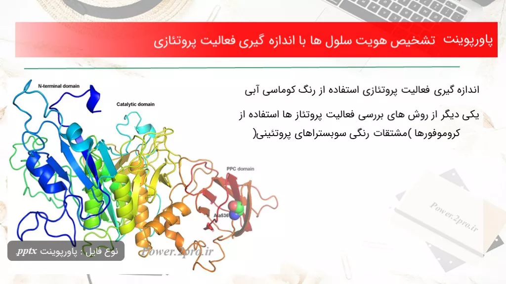 دانلود پاورپوینت تشخیص هویت سلول ها با اندازه گیری فعالیت پروتئازی - کد117626