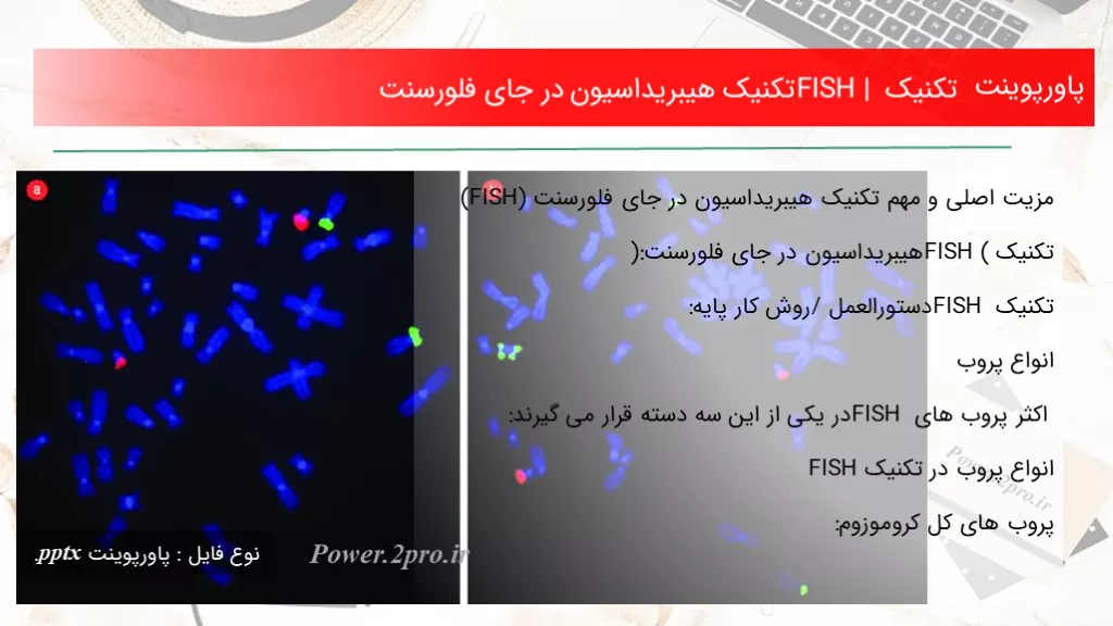 دانلود پاورپوینت تکنیک FISH | تکنیک هیبریداسیون در جای فلورسنت - کد117645