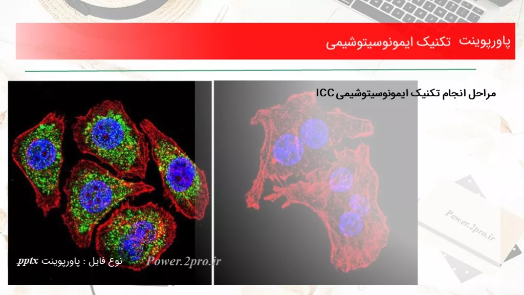 دانلود پاورپوینت تکنیک ایمونوسیتوشیمی - کد117649