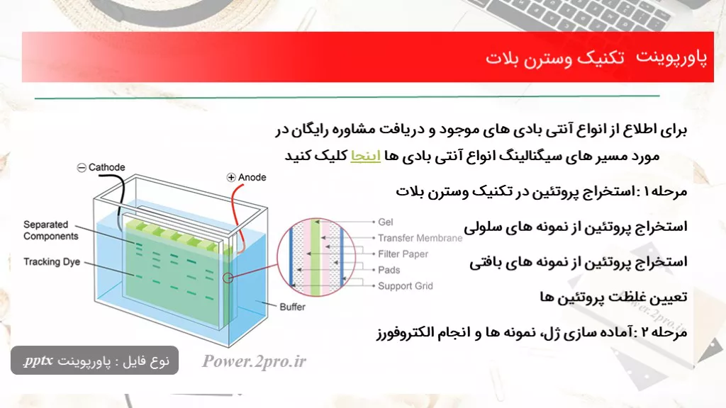 دانلود پاورپوینت تکنیک وسترن بلات - کد117655