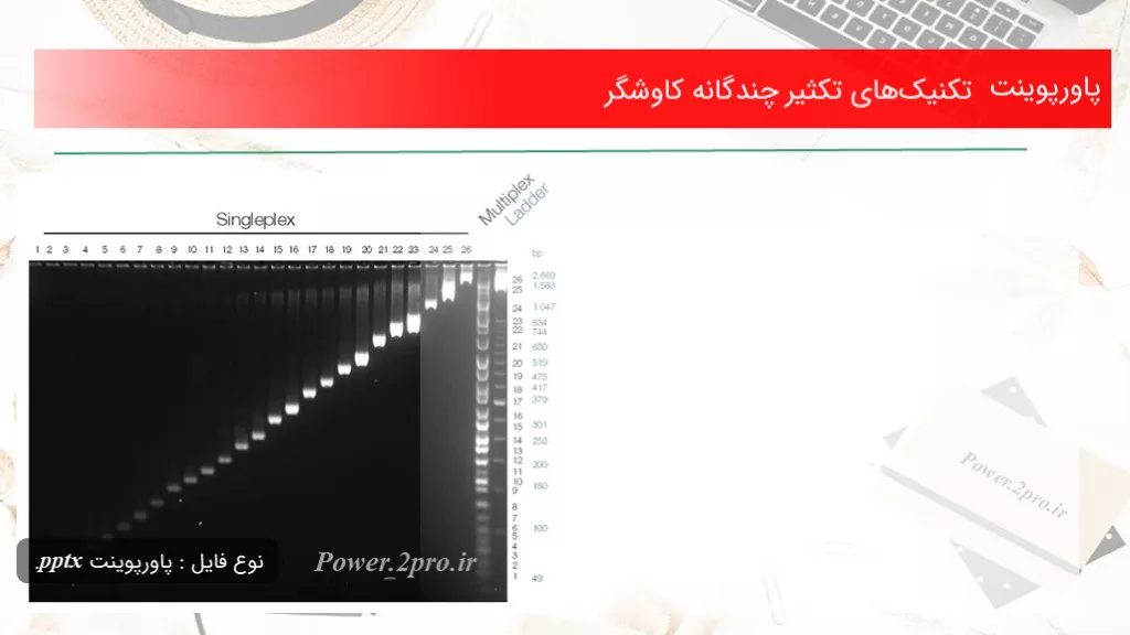 دانلود پاورپوینت تکنیک‌های تکثیر چندگانه کاوشگر - کد117657