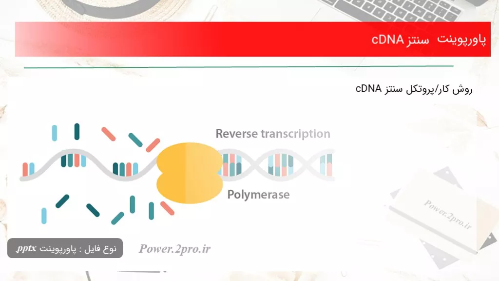 دانلود پاورپوینت سنتز cDNA - کد117716