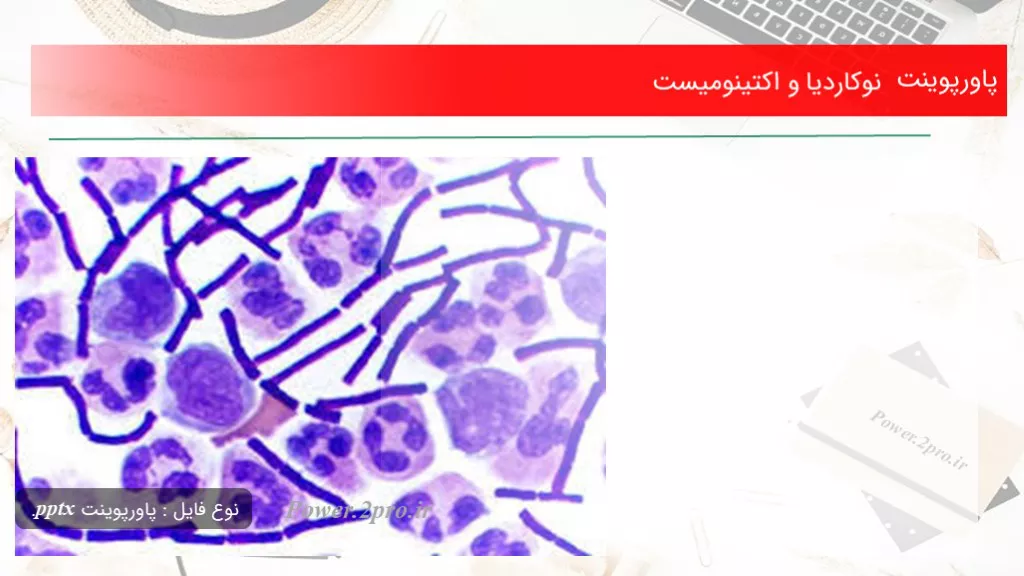 دانلود پاورپوینت نوکاردیا و اکتینومیست‌ - کد117821