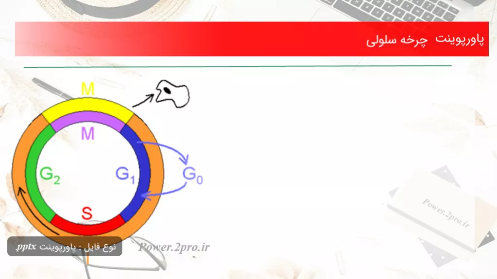 دانلود پاورپوینت چرخه سلولی - کد117862