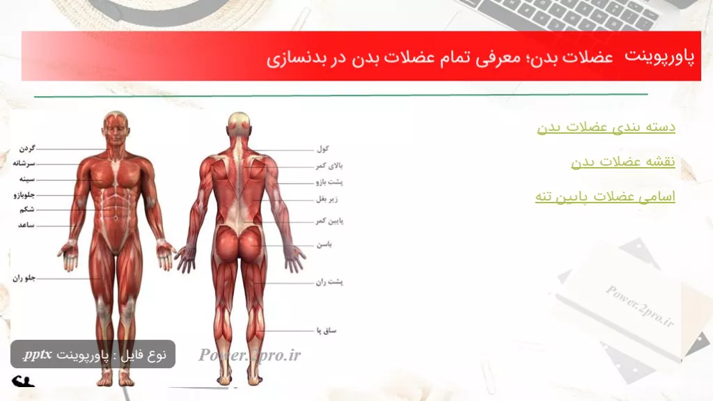 دانلود پاورپوینت عضلات بدن؛ معرفی تمام عضلات بدن در بدنسازی - کد118861