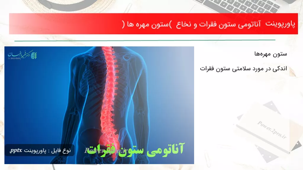 دانلود پاورپوینت آناتومی ستون فقرات و نخاع ( ستون مهره ها ) - کد119044