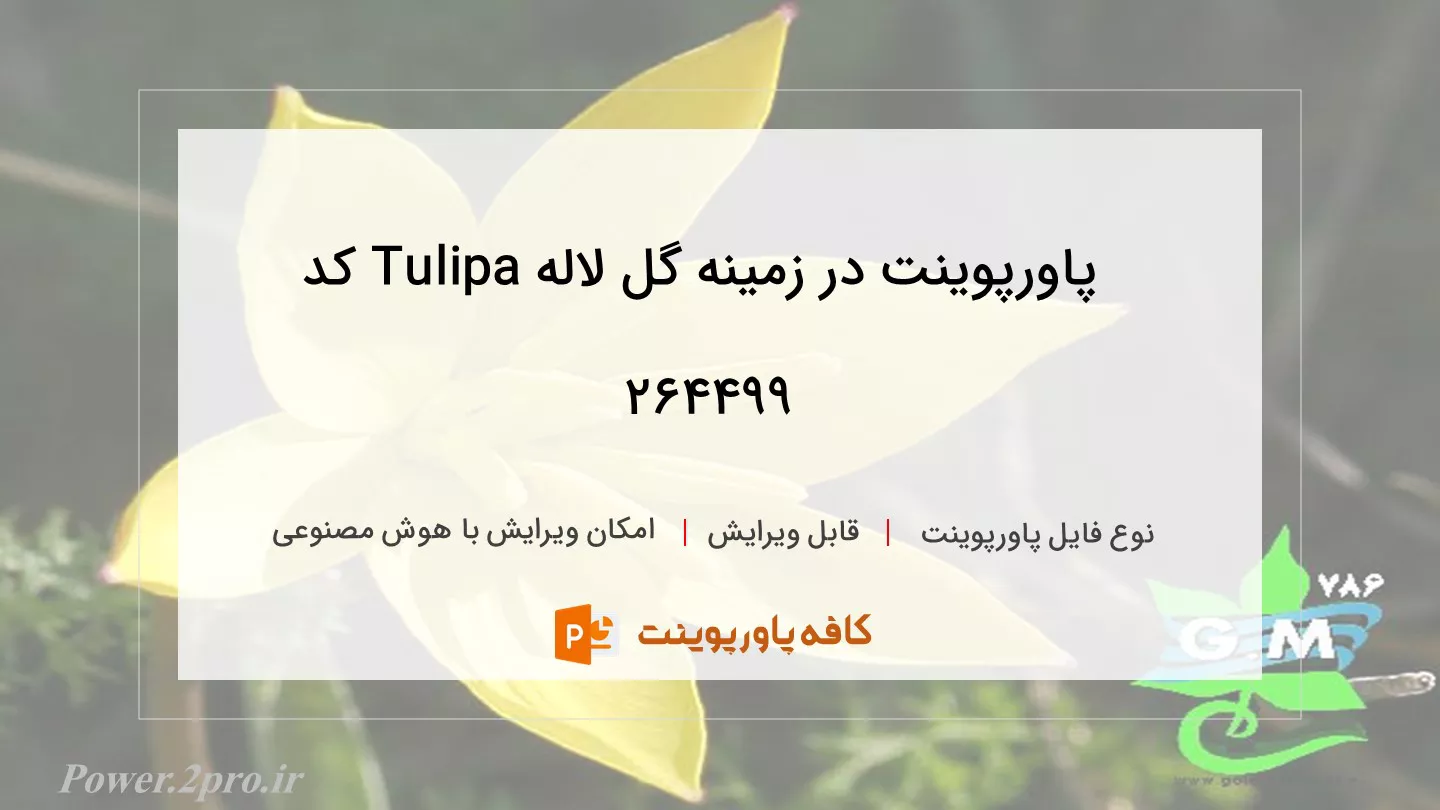 دانلود پاورپوینت در زمینه گل لاله Tulipa کد 264499