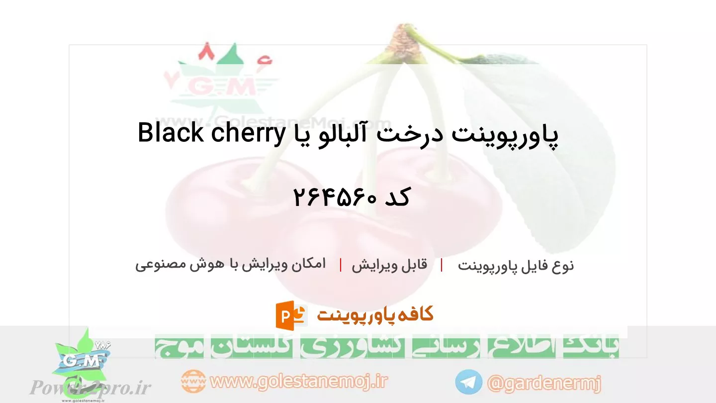 دانلود پاورپوینت درخت آلبالو یا Black cherry کد 264560