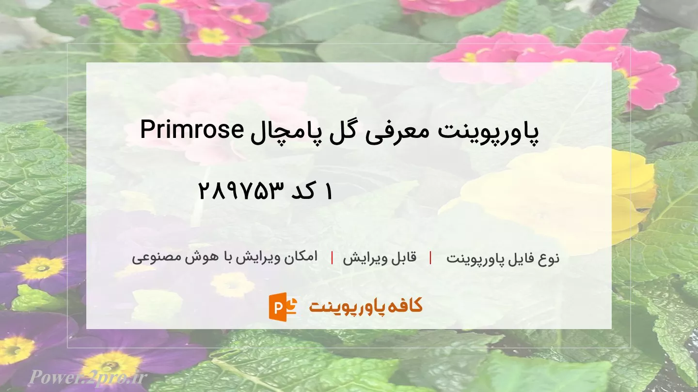 دانلود پاورپوینت معرفی گل پامچال Primrose
			1 کد 289753