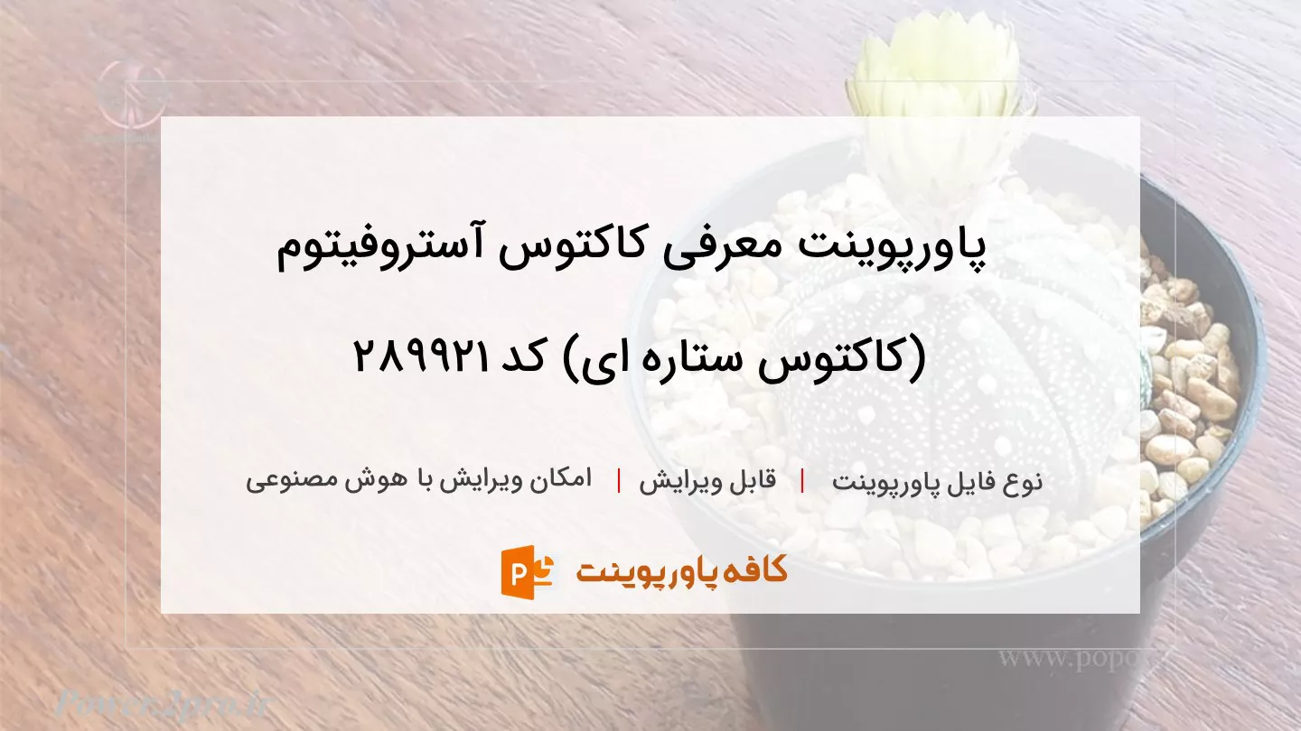 دانلود پاورپوینت معرفی کاکتوس آستروفیتوم (کاکتوس ستاره ای) کد 289921