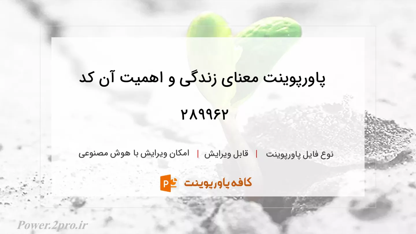 معنای زندگی و اهمیت آن