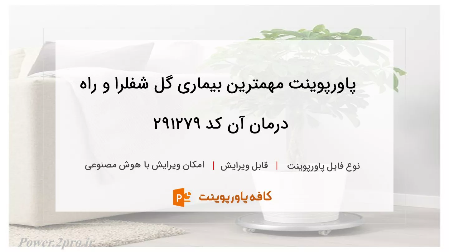 دانلود پاورپوینت مهمترین بیماری گل شفلرا و راه درمان آن کد 291279