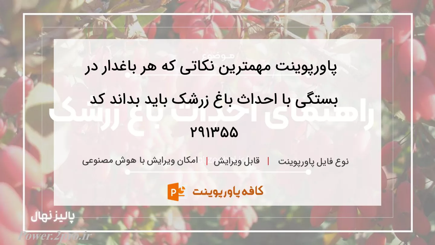 دانلود پاورپوینت مهمترین نکاتی که هر باغدار در بستگی با احداث باغ زرشک باید بداند کد 291355