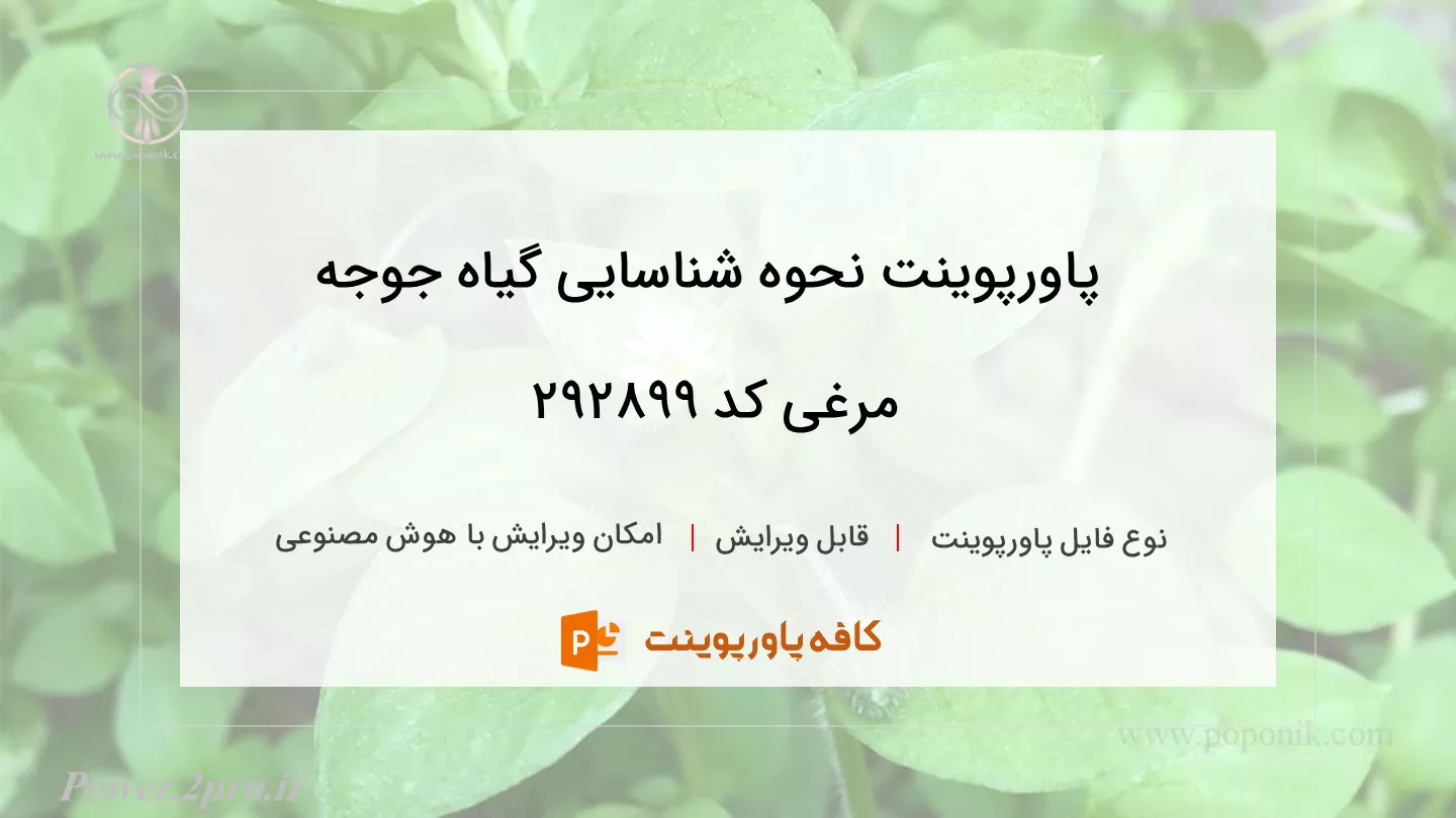 دانلود پاورپوینت نحوه شناسایی گیاه جوجه مرغی کد 292899