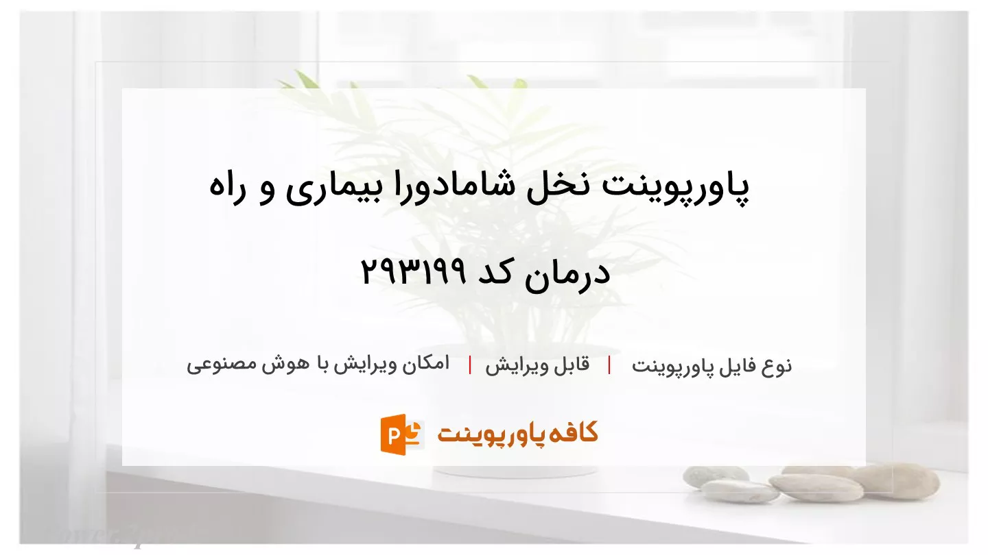 دانلود پاورپوینت نخل شامادورا بیماری و راه درمان کد 293199