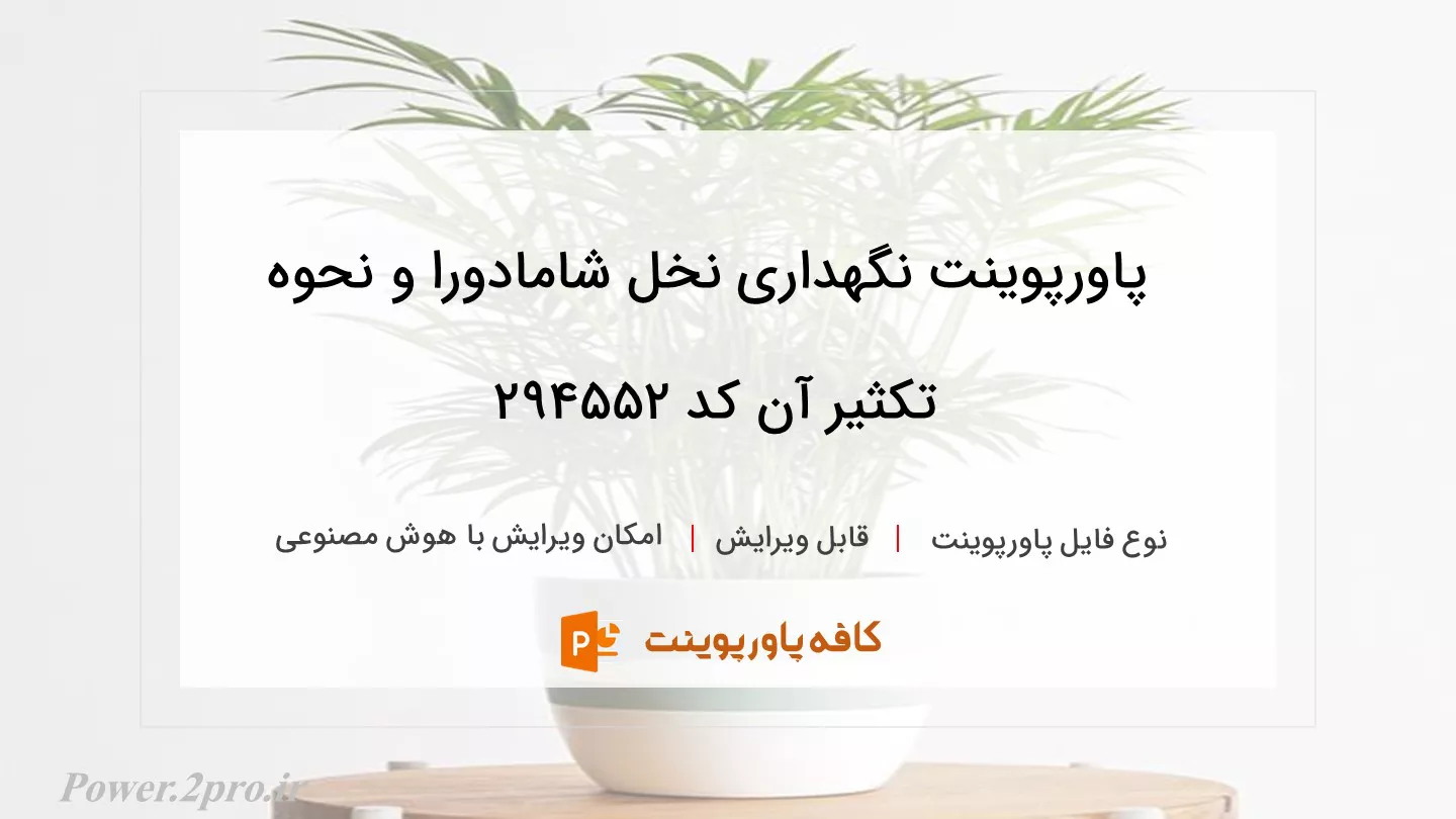 دانلود پاورپوینت نگهداری نخل شامادورا و نحوه تکثیر آن کد 294552