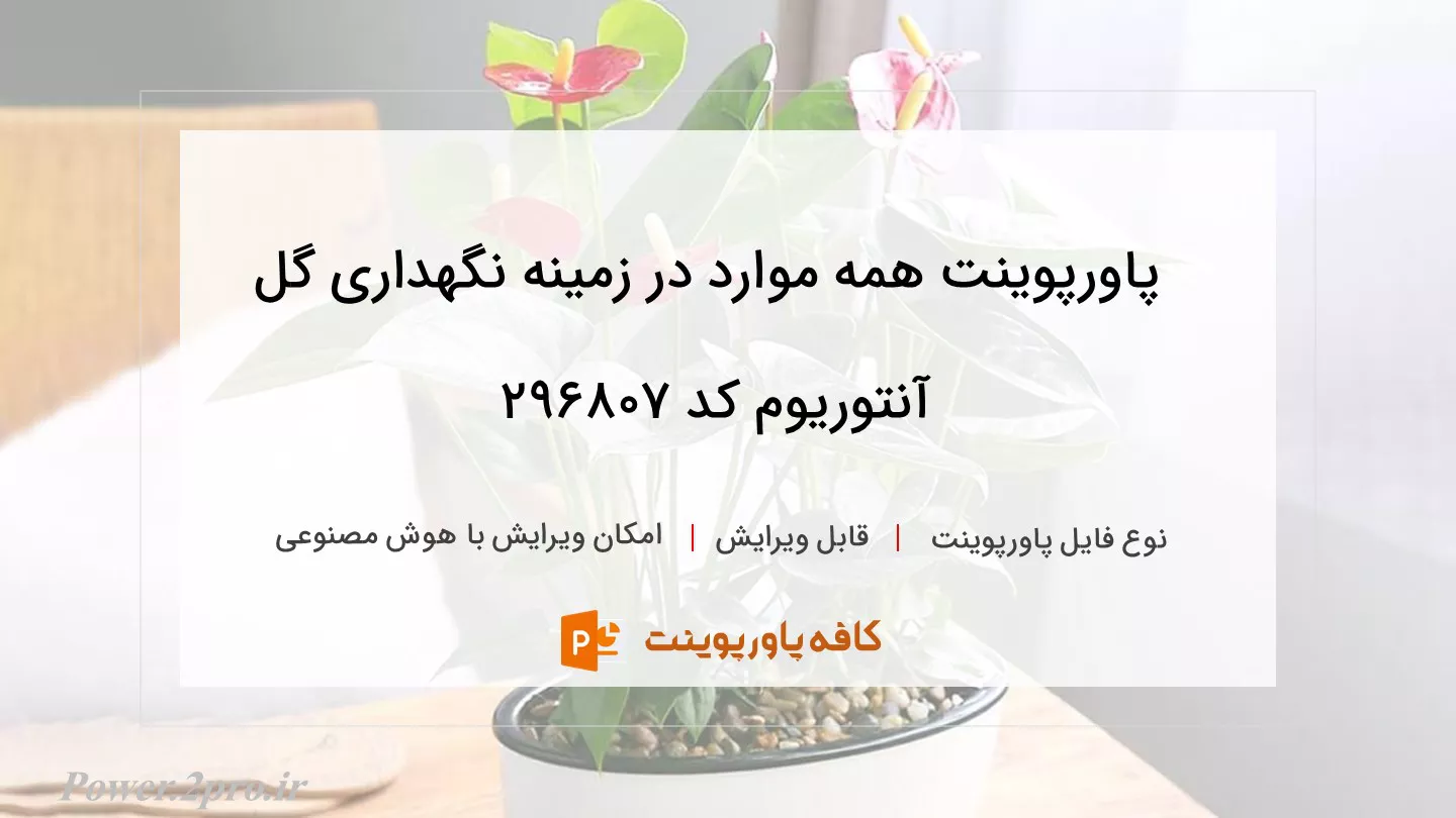 همه چیز درباره نگهداری گل آنتوریوم