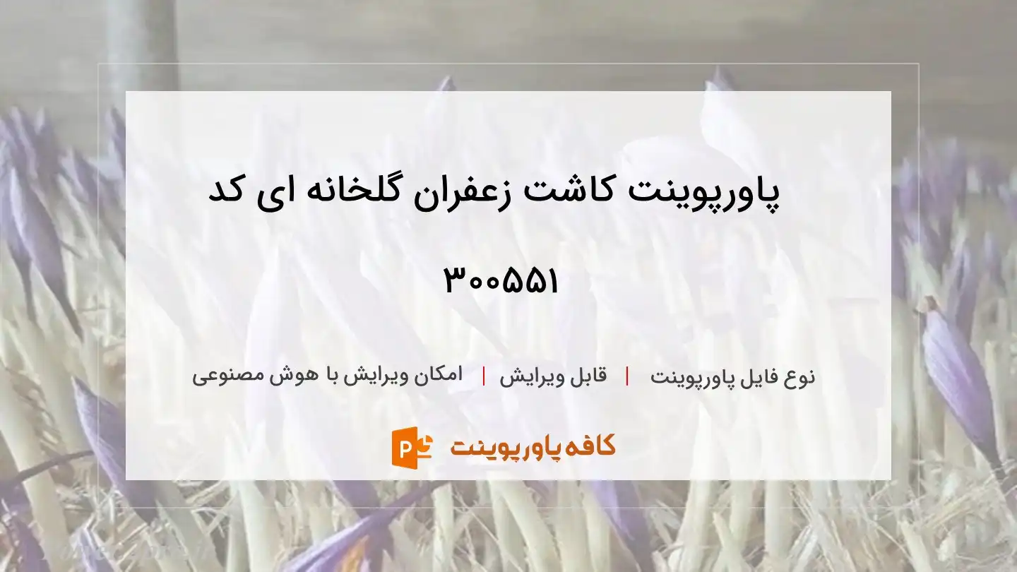 کاشت زعفران گلخانه ای