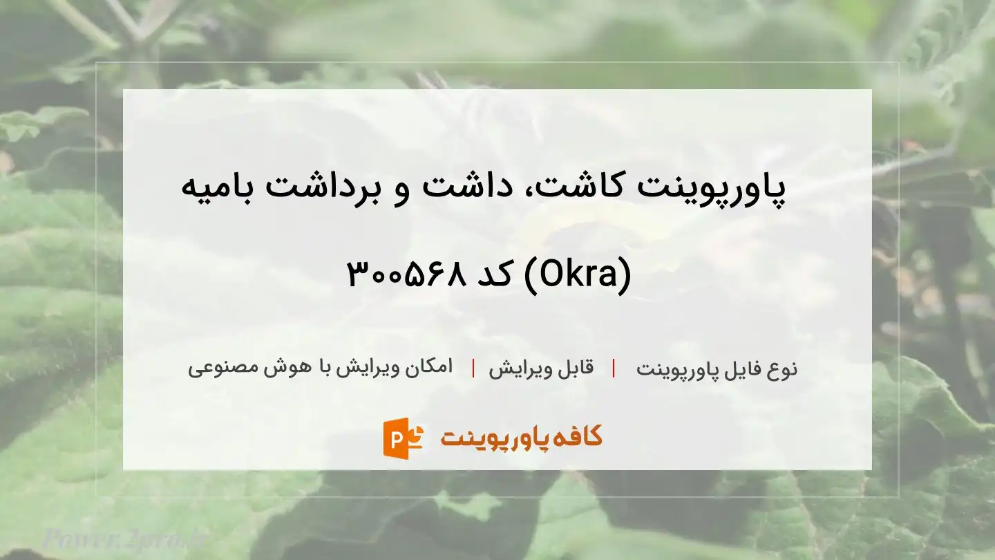 دانلود پاورپوینت کاشت، داشت و برداشت بامیه (Okra) کد 300568