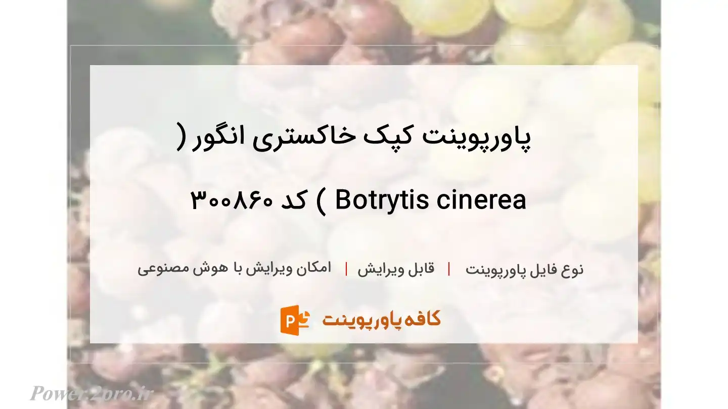 دانلود پاورپوینت کپک خاکستری انگور ( Botrytis cinerea ) کد 300860