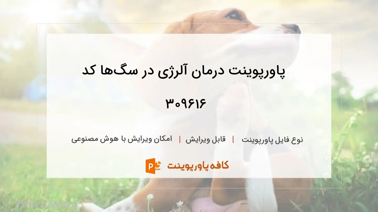 دانلود پاورپوینت درمان آلرژی در سگ‌ها کد 309616