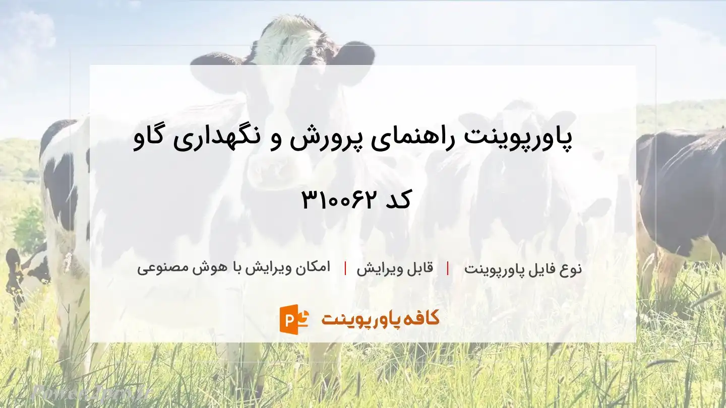 راهنمای پرورش و نگهداری گاو