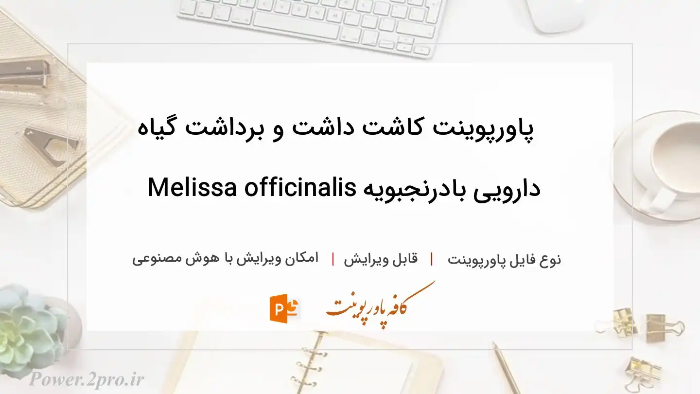  دانلود پاورپوینت کاشت داشت و برداشت گیاه دارویی بادرنجبویه Melissa officinalis 