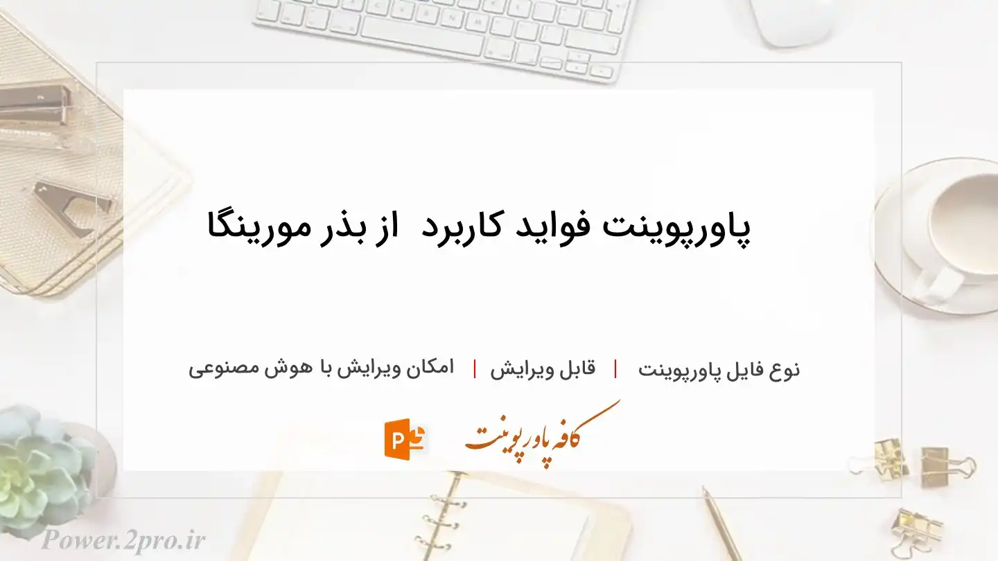  دانلود پاورپوینت فواید کاربرد  از بذر مورینگا 