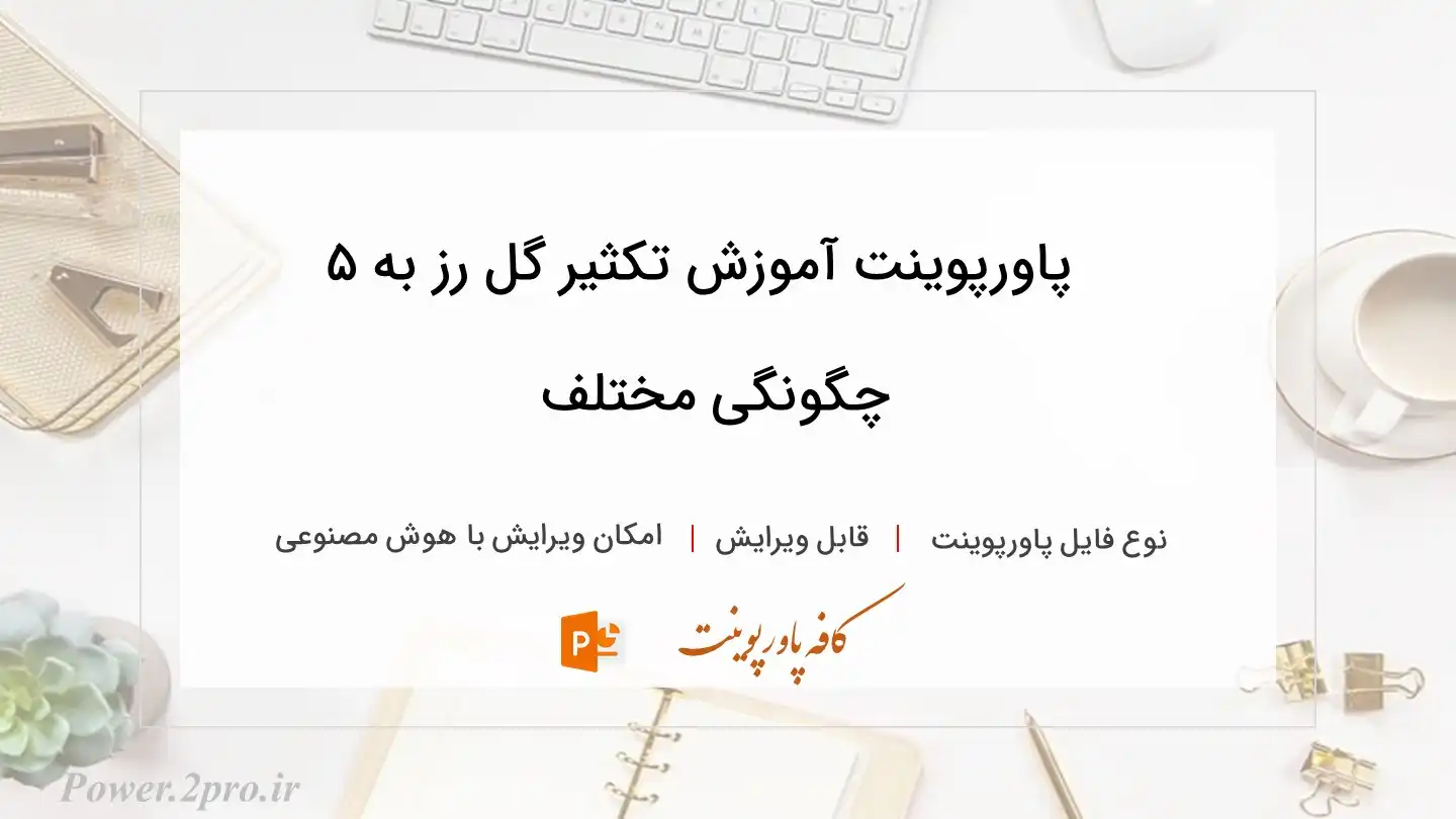  دانلود پاورپوینت آموزش تکثیر گل رز به ۵ چگونگی مختلف 