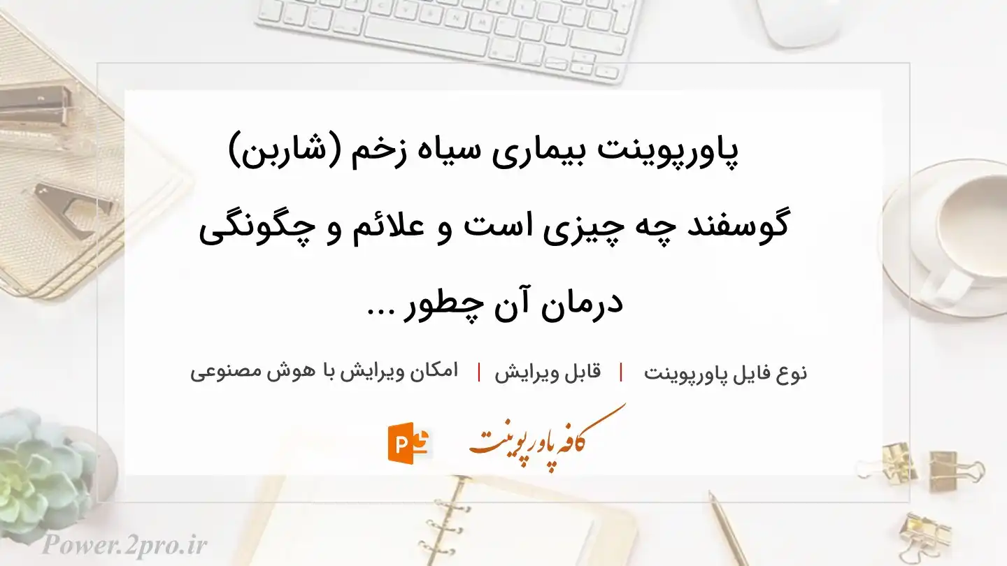  دانلود پاورپوینت بیماری سیاه زخم (شاربن) گوسفند چه چیزی است و علائم و چگونگی درمان آن چطور ... 