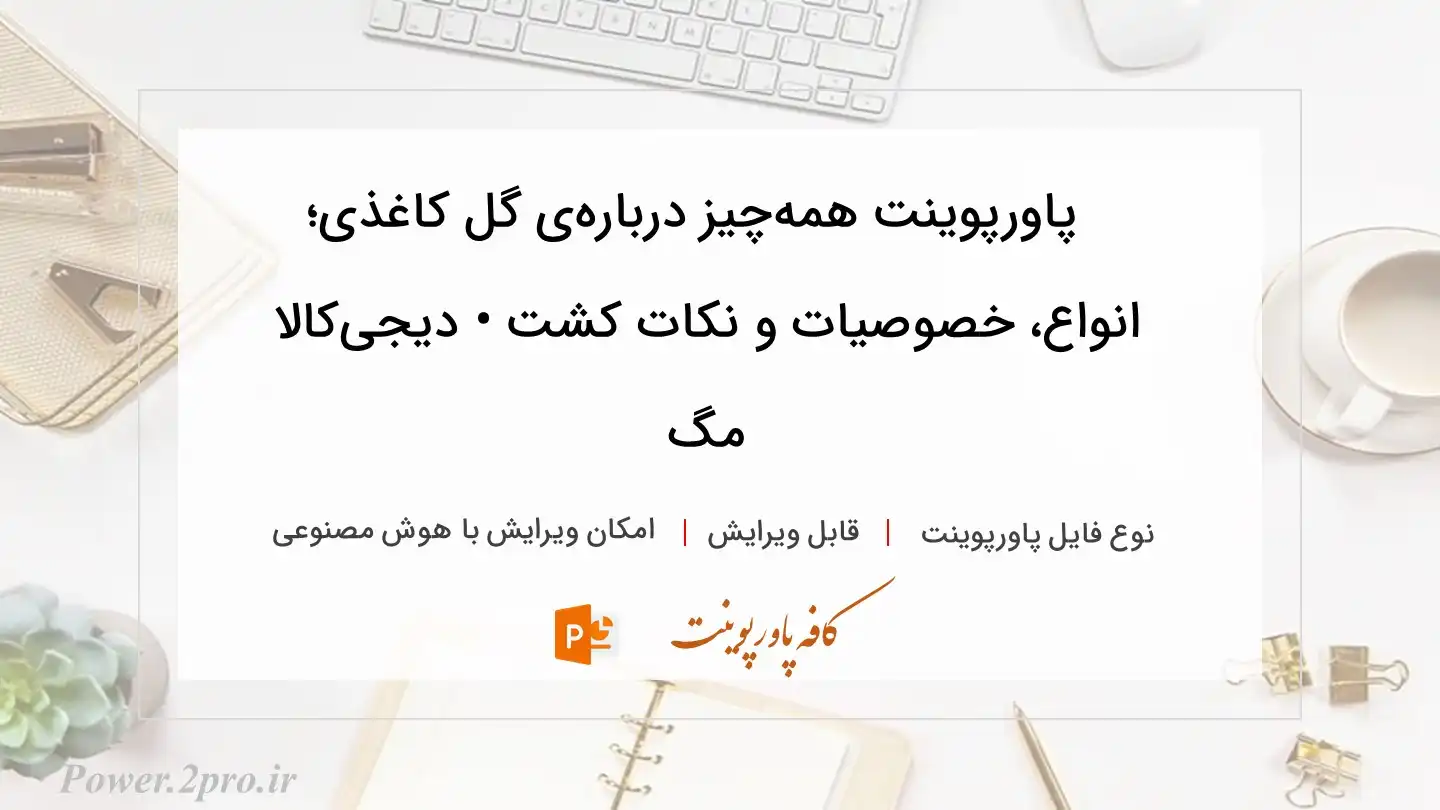  دانلود پاورپوینت همه‌چیز درباره‌ی گل کاغذی؛ انواع، خصوصیات و نکات کشت • دیجی‌کالا مگ 