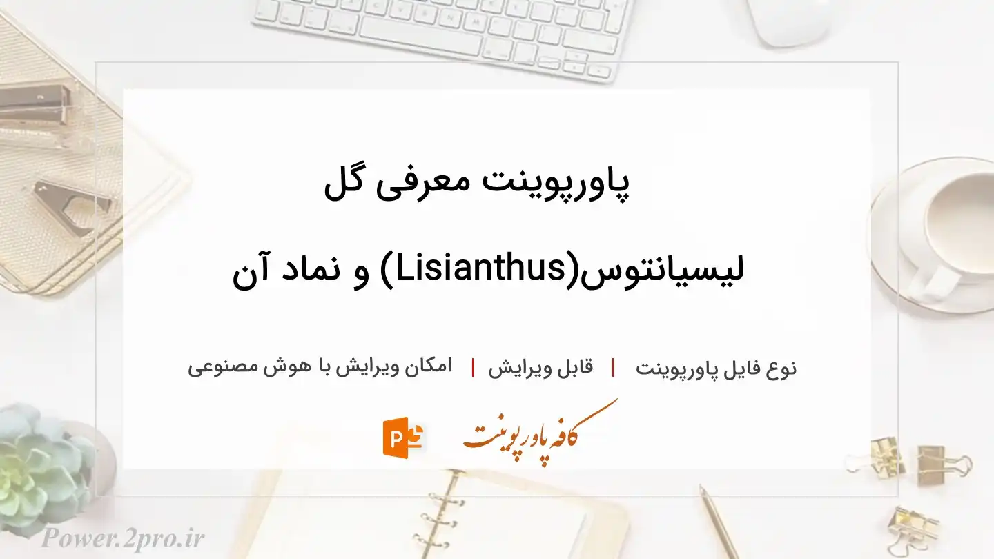  دانلود پاورپوینت معرفی گل لیسیانتوس(Lisianthus) و نماد آن 