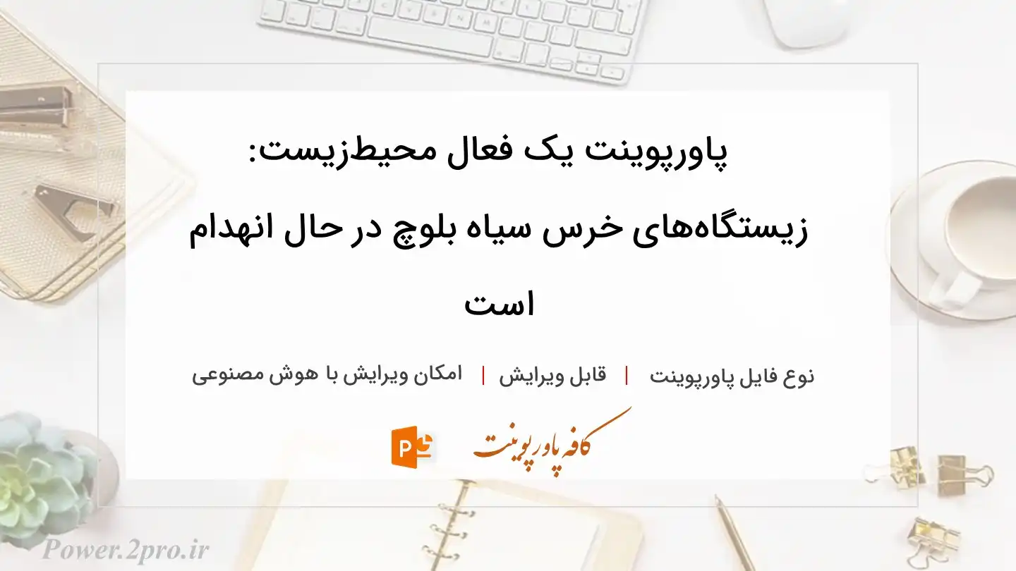  دانلود پاورپوینت یک فعال محیط‌زیست: زیستگاه‌های خرس سیاه بلوچ در حال انهدام است 