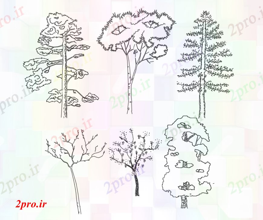 دانلود نقشه درختان و گیاهان جزئیات  طراحی های نما مقابل شش نوع درختان (کد93144)