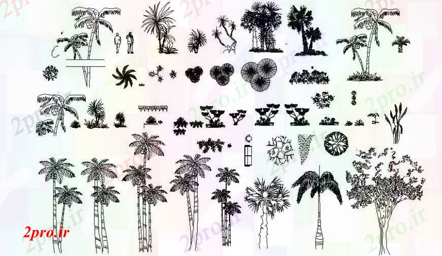 دانلود نقشه درختان و گیاهان درخت و گیاهان نما بلوک وحشی طراحی جزئیات  (کد94643)